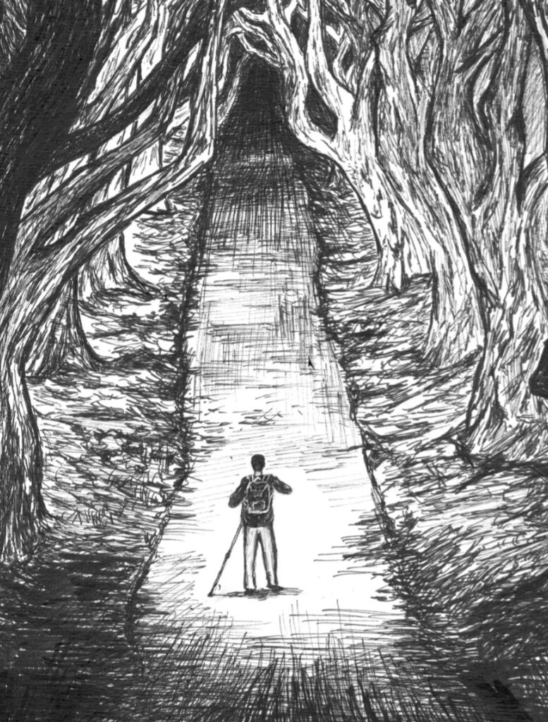 Fineliner noir - Ambiance et nature